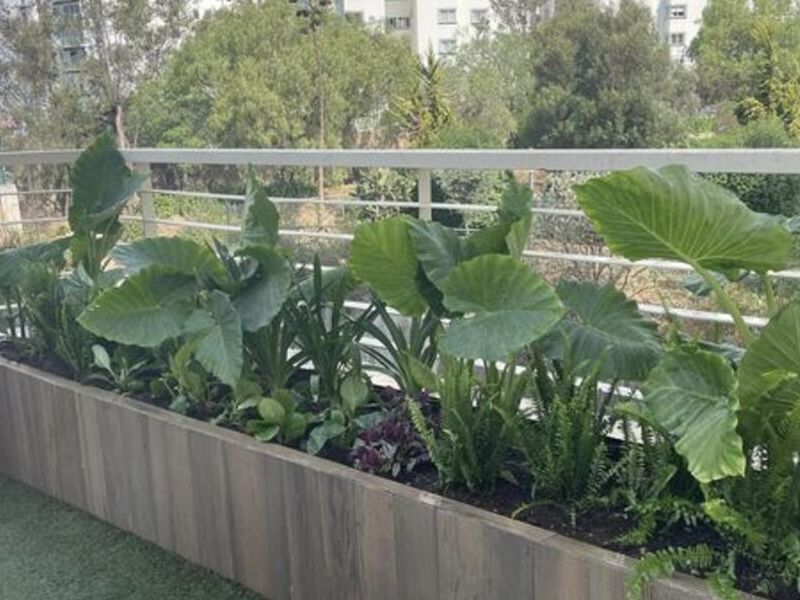 Jardinera Terraza México