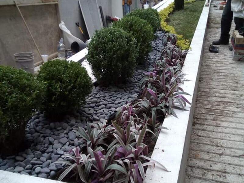 Jardin 2 México