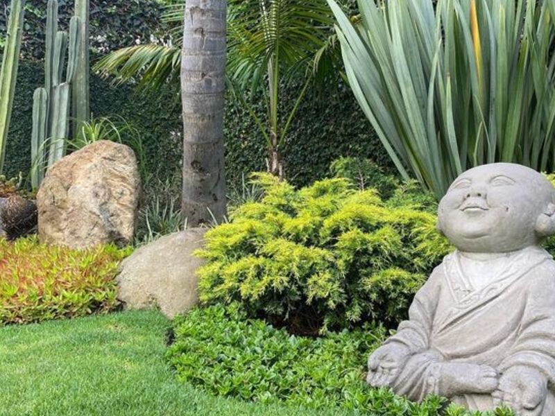 Jardín Buda 2 México