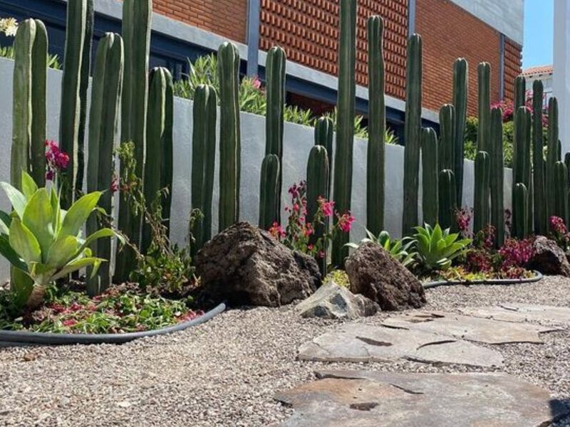 Jardín Cactus México