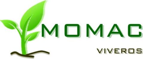 Momac viveros