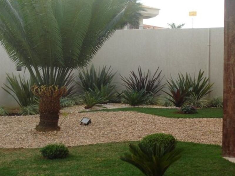 Jardín Palmeras México