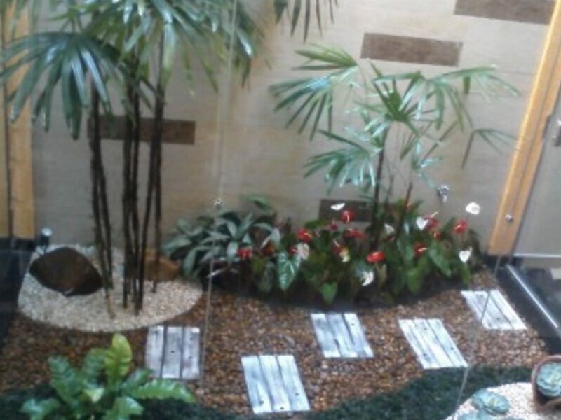 Jardín 4 México