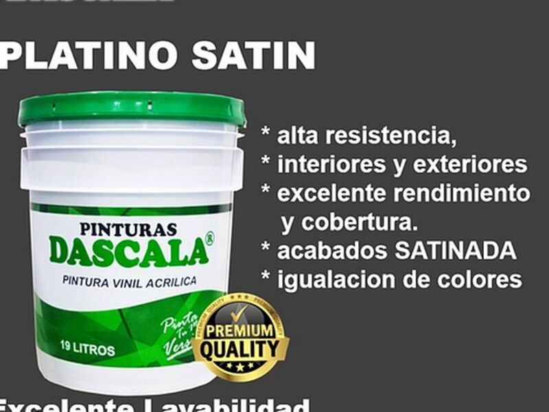 Pintura Platino Satin 