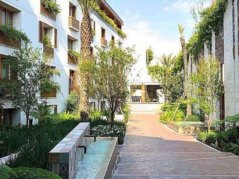 Paisajismo Mazatlán 