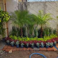 Jardineria y paisajismo López