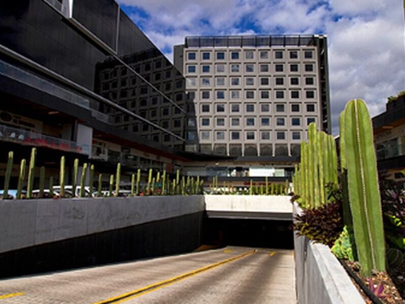 Ubika Universidad México