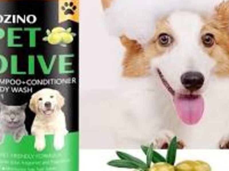 Shampoo perro México