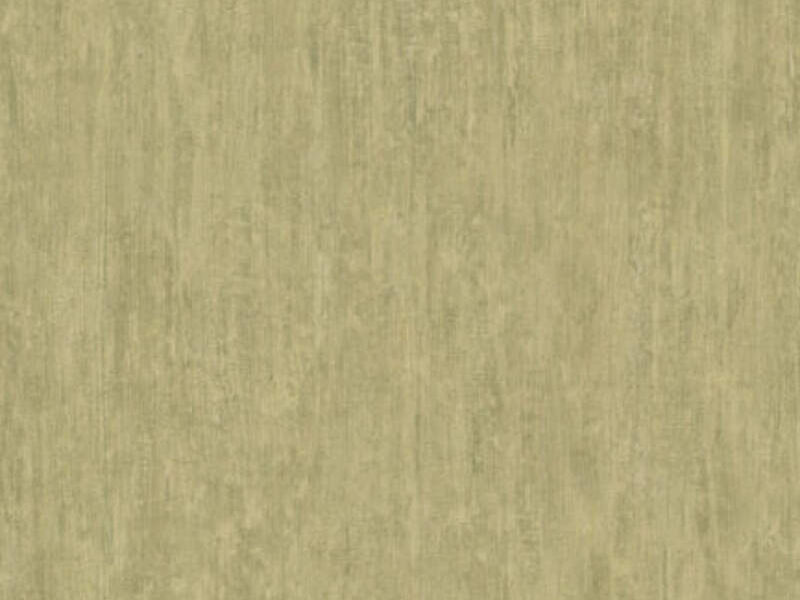 Papel Tapiz Olive Pachuca 