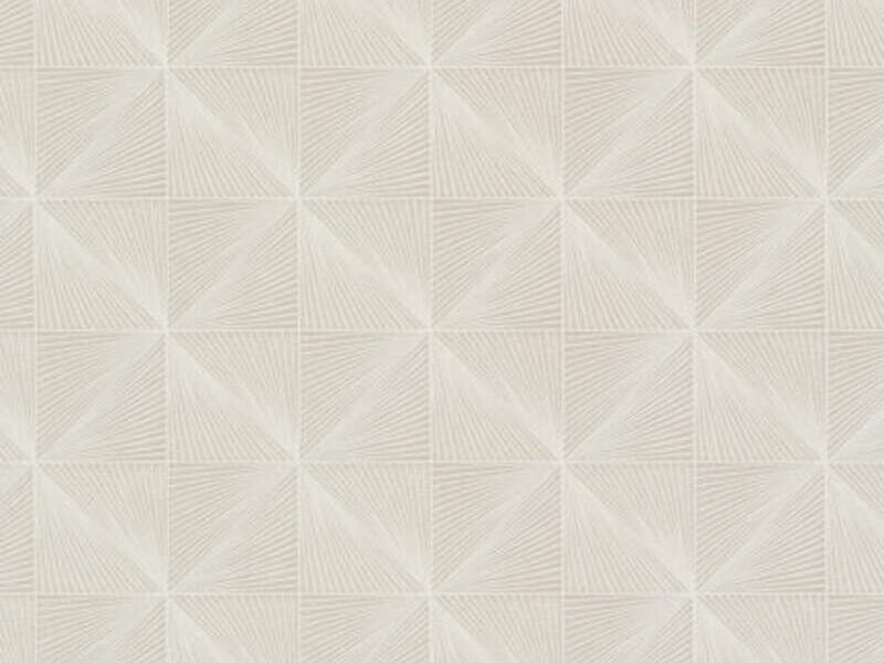 Papel Tapiz Bone Pachuca 