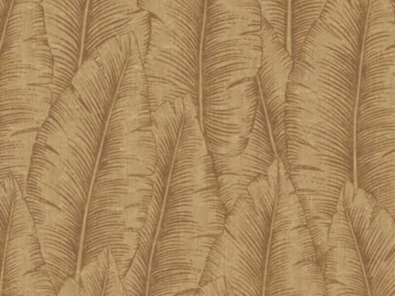 Papel Tapiz Honey Pachuca
