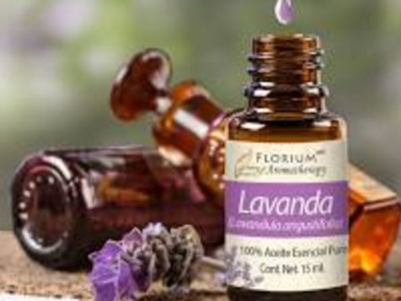 Lavanda México