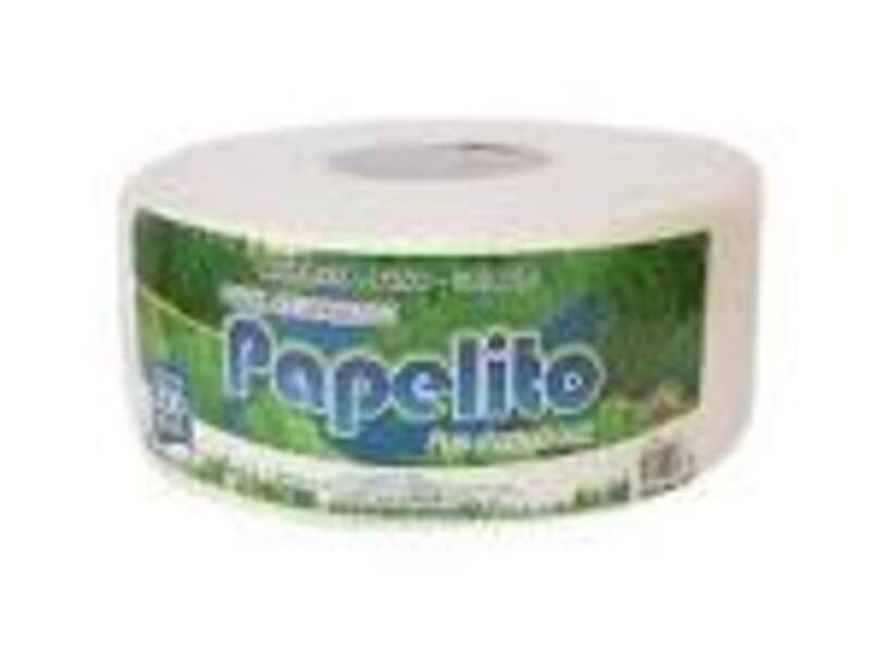Papel institucional México