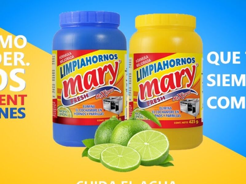 Limpia hornos México
