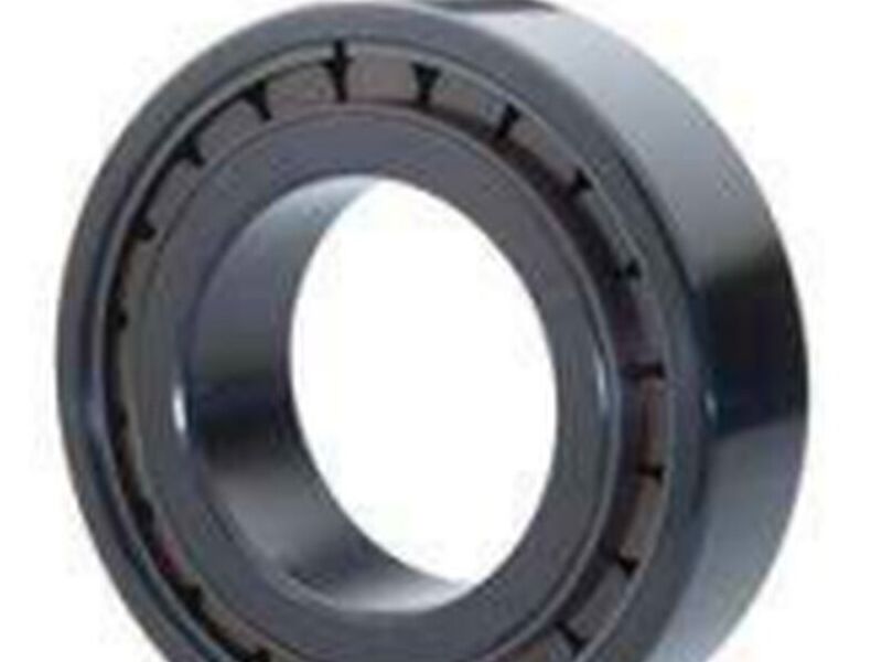 Rodamiento energéticamente SKF Bugambillas