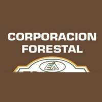 Corporación Forestal