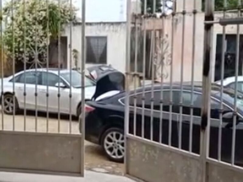Motor Acceess force México