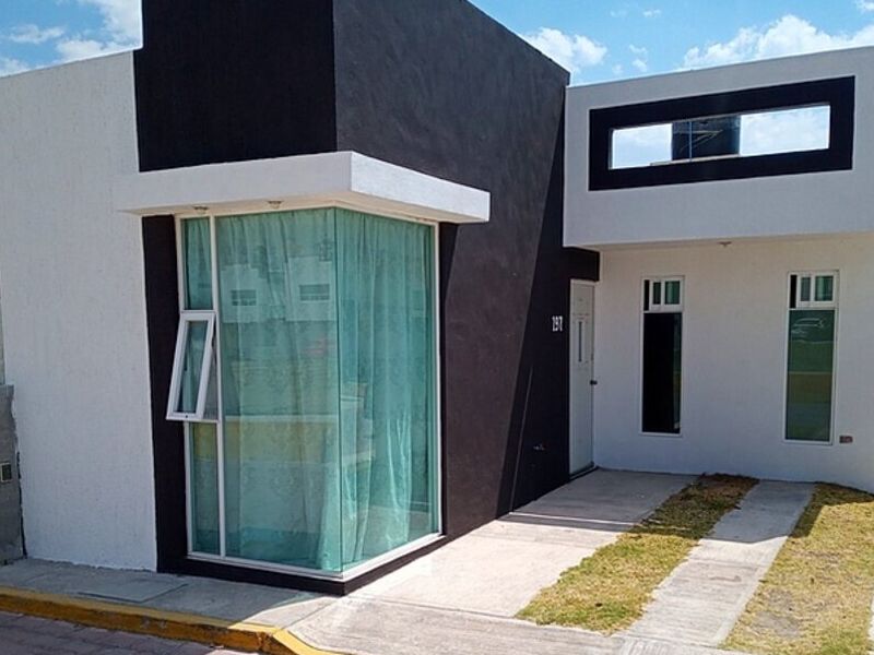 Proyecto 005 Mexico