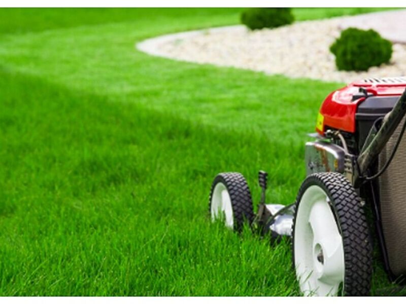 MANTENIMIENTO JARDINERÍA 