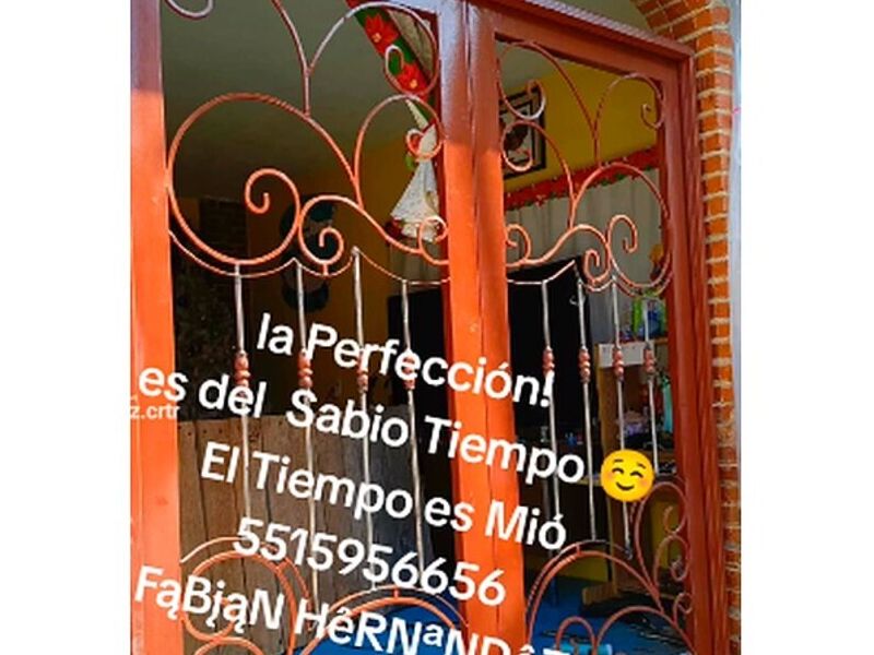 Puertas metal entrada México