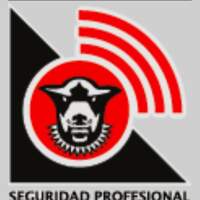 SEGURIDAD PROFESIONAL CANCÚN