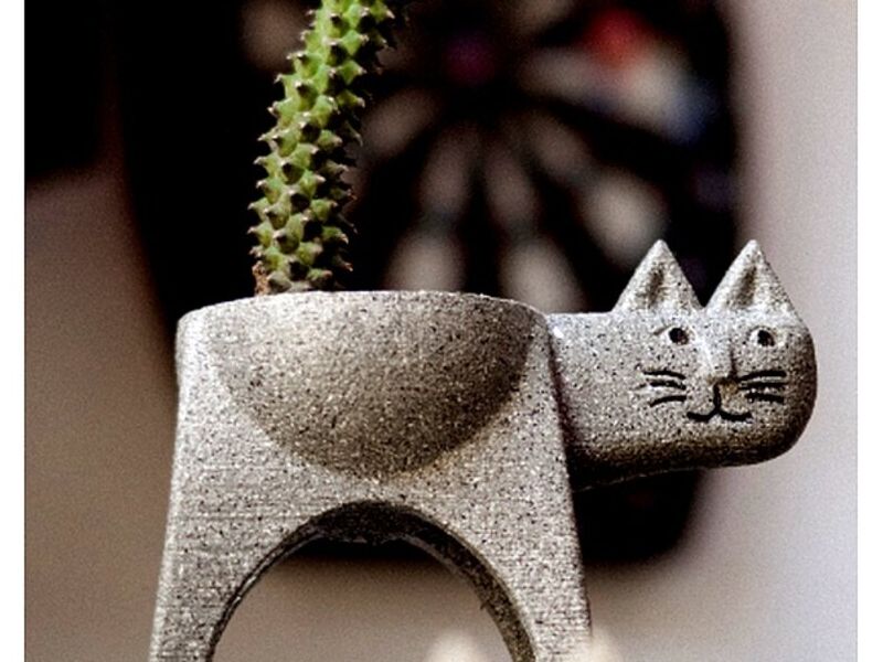 Maceta Gato Mexico