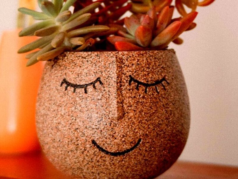 Maceta Sonriente Mexico