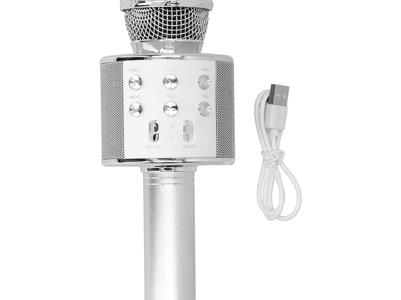 Micrófono de Karaoke Inalámbrico México