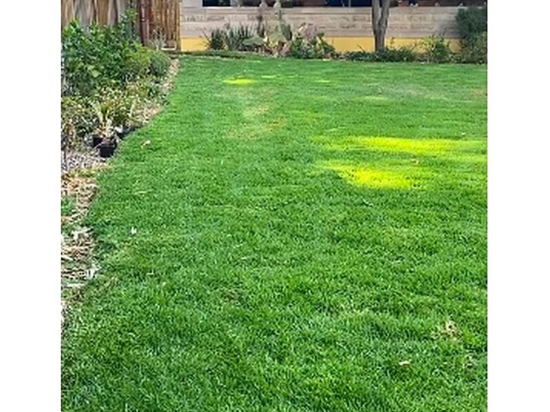 Diseño jardín México