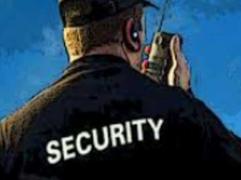 Guardias seguridad méxico