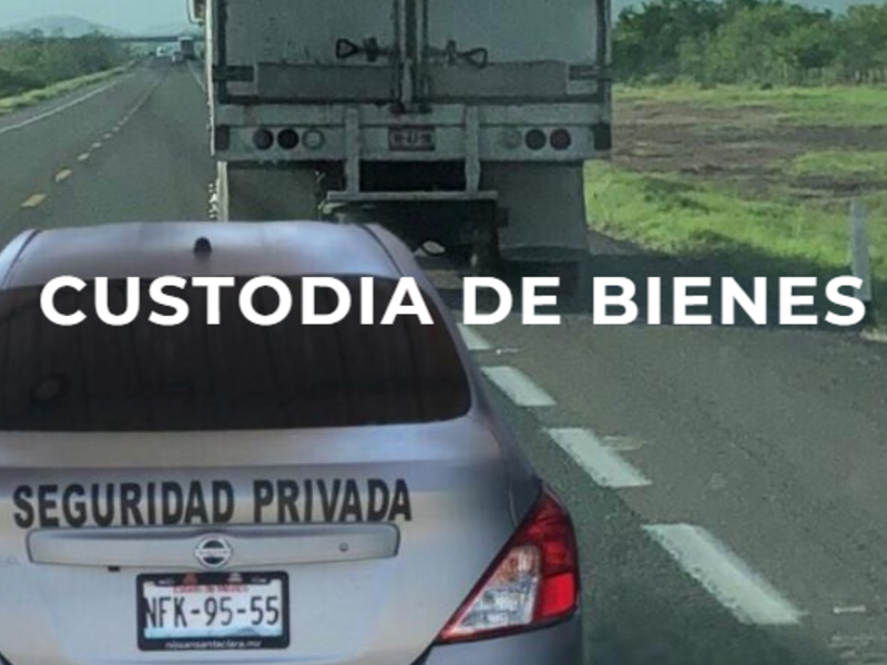 Custodia bienes méxico 