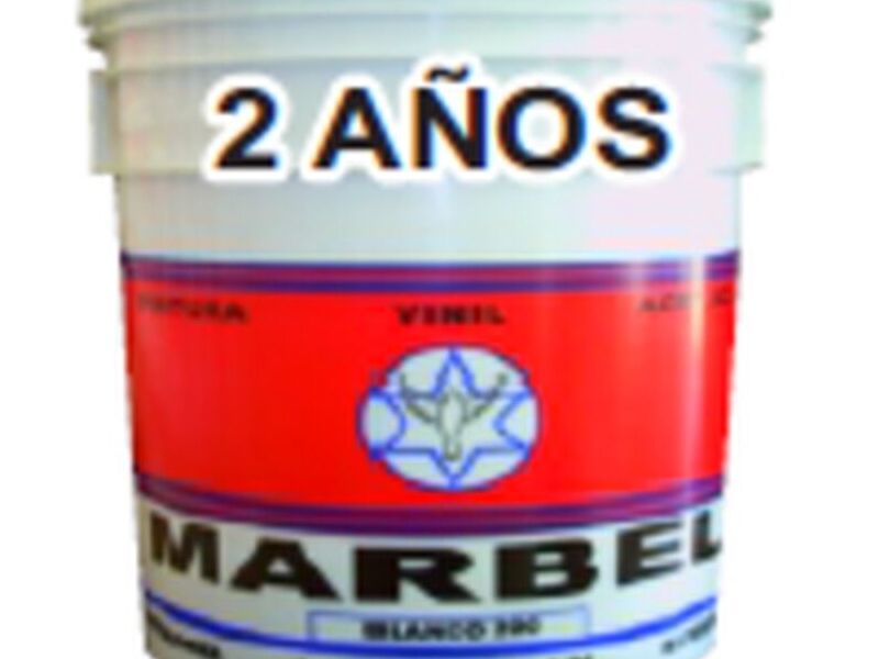 Pintura Vinilica México 