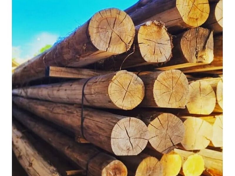 Troncos madera nativa