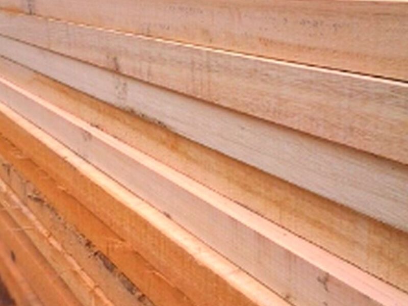 Madera encofrado losa 