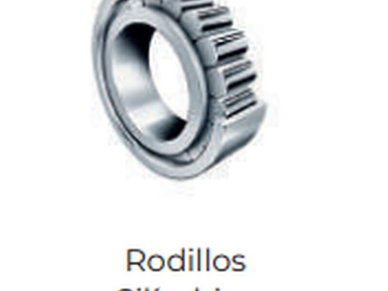 Rodamiento rodillos cilíndrico Monterrey