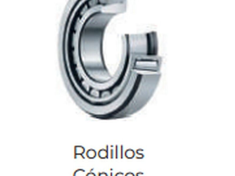 Rodamiento rodillo cónico México