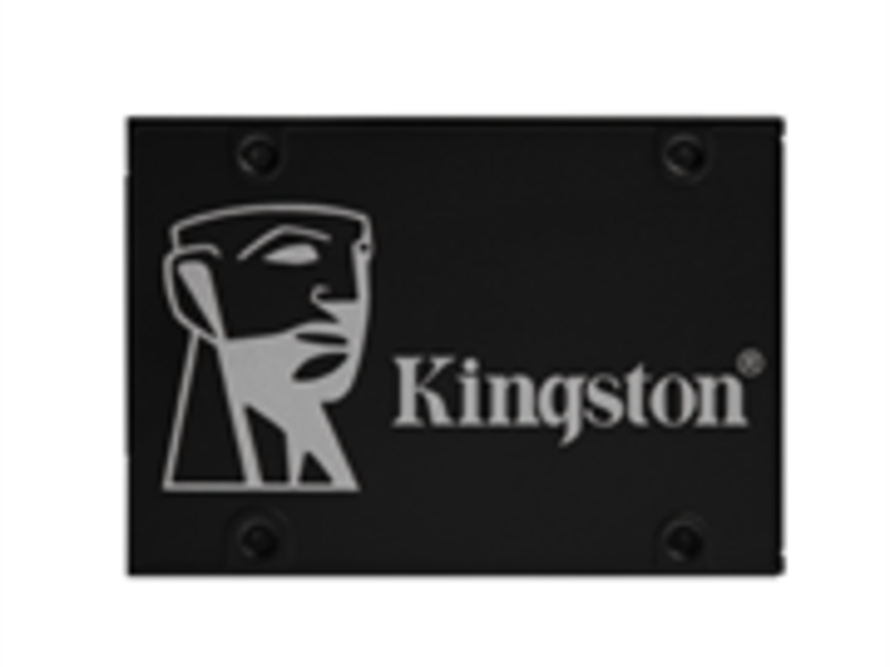 Unidad Estado Sólido Kingston México