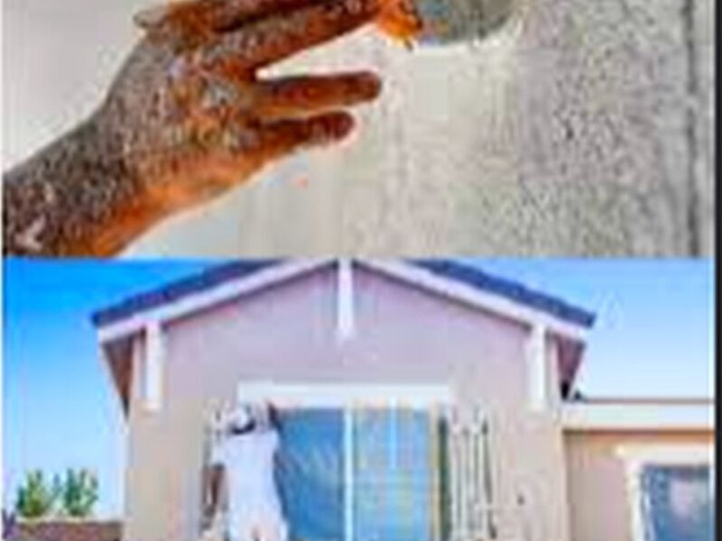 Pintores casas México