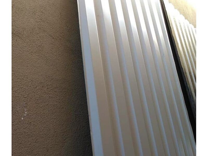 Pintro blanco c26 México