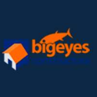 Big Eyes Constructora Tepic