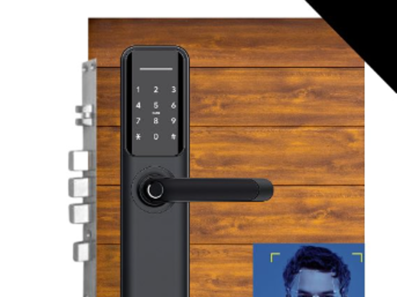 Cerradura Inteligente TECDOFY H6 México