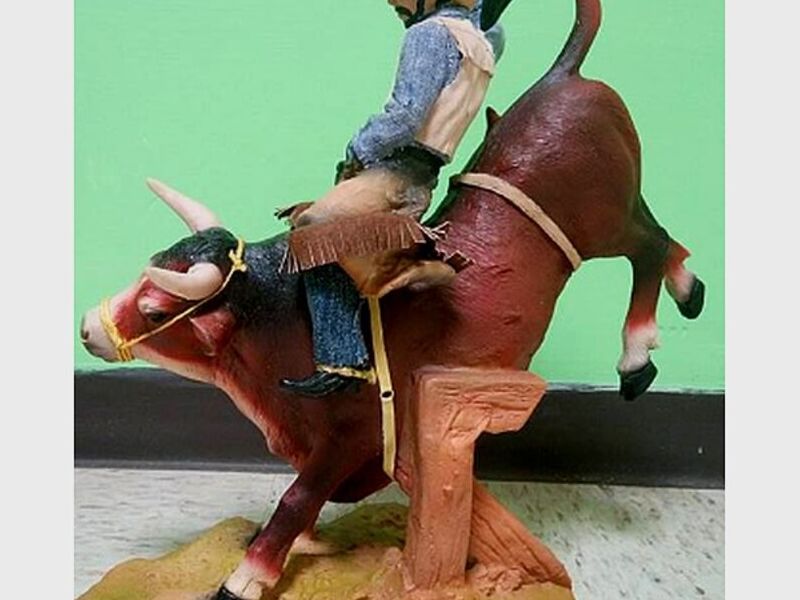 Vaquero Toro México