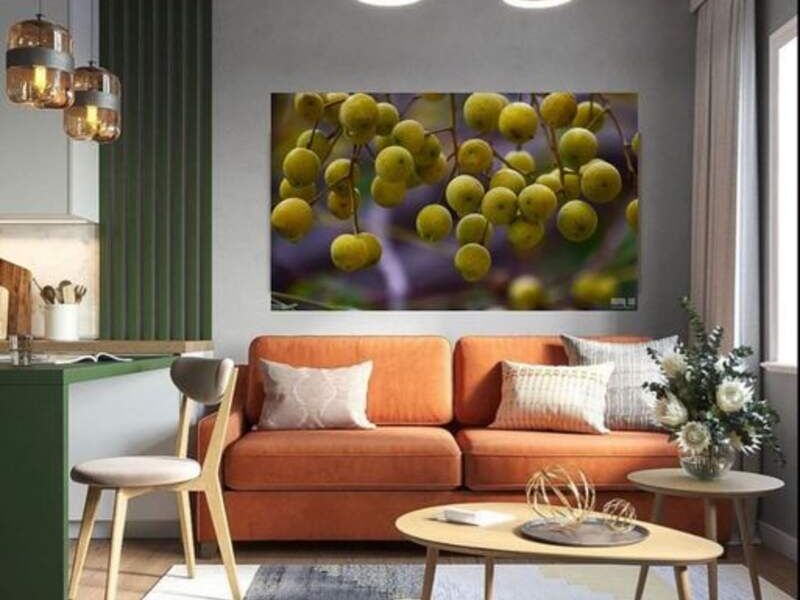 Cuadro Decorativo Frutal Durango