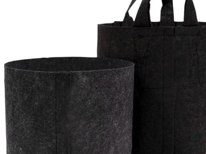 Bolsa Cultivo México