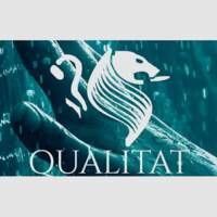 Qualitat Dsi