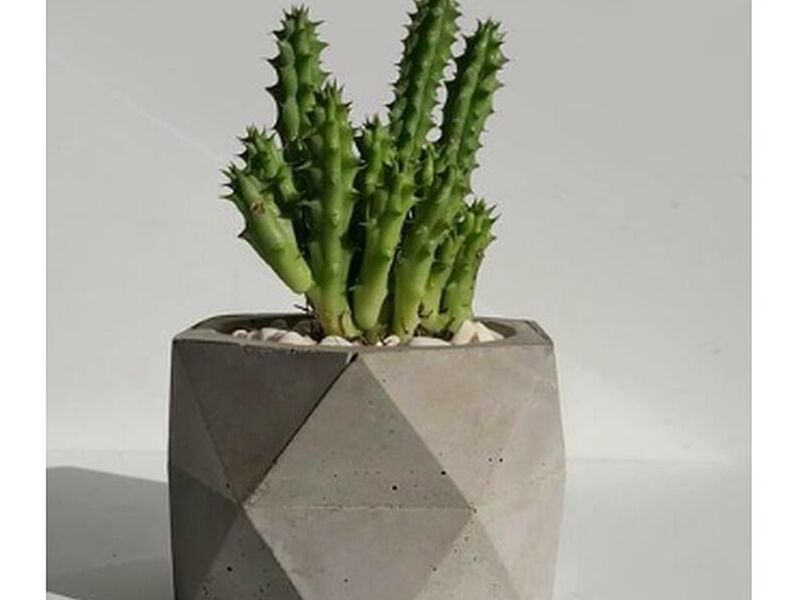 Maceta artesanal ploma México