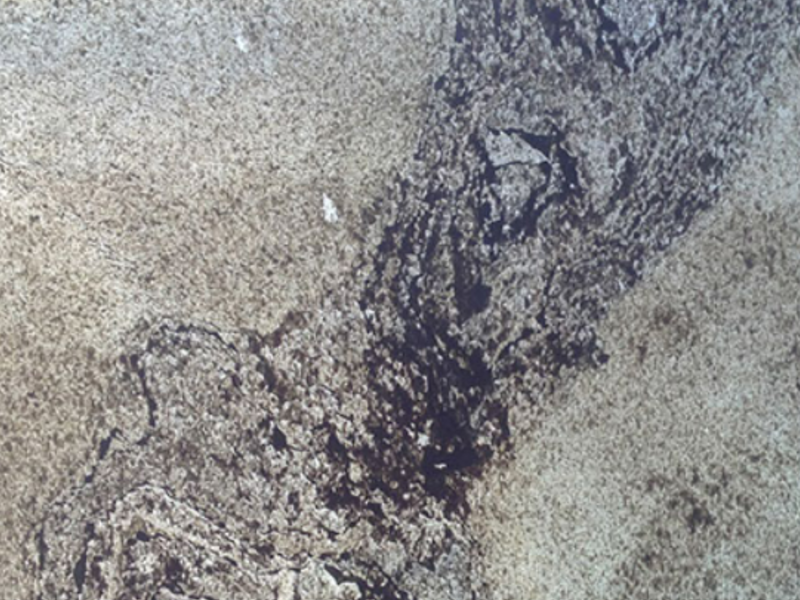 Gold  CDMX Flexstone