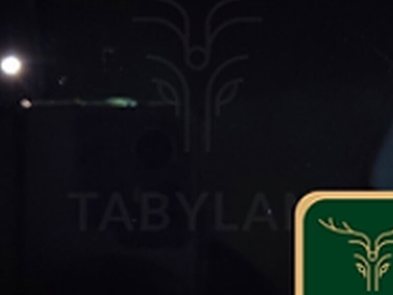  Tablero Premium Black 8421 México