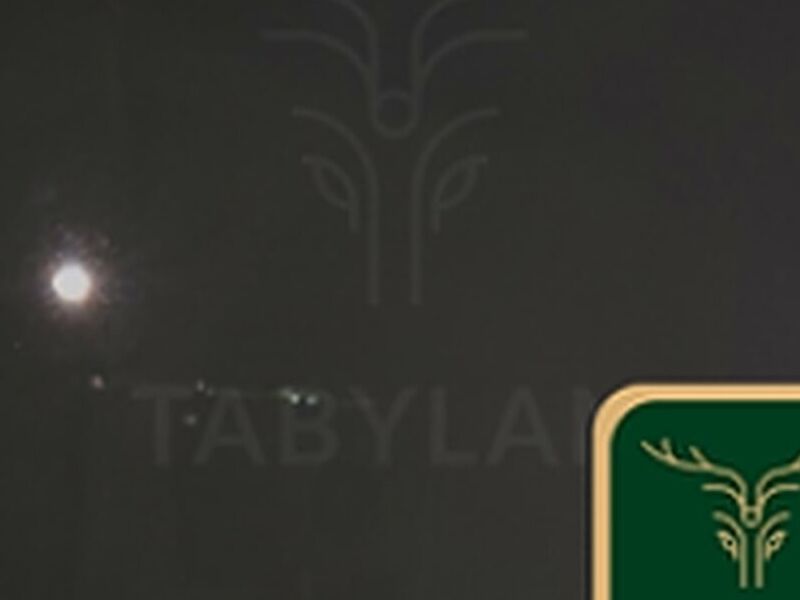 Tablero Premium Dark Grey 85382 México