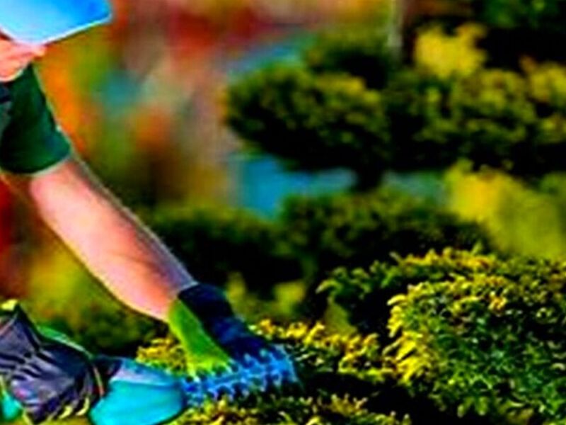 Mantenimiento Jardineros México